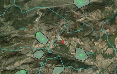 C21 BAL'dan Kirazpınar köyünde 7 Dönüm Orman kenarı
