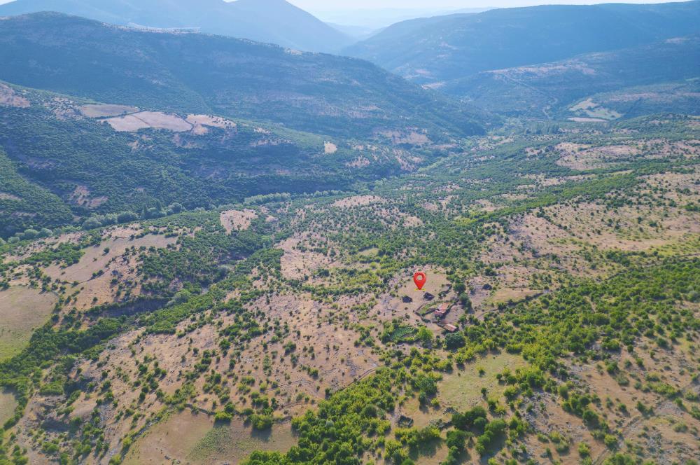 C21 WİNNER KEPSUT SAYACIK 1.934m² SATILIK BAHÇE