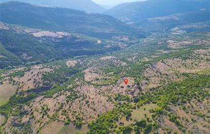 C21 WİNNER KEPSUT SAYACIK 1.934m² SATILIK BAHÇE