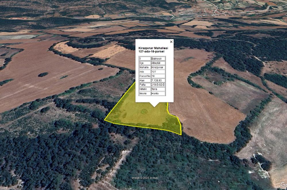 C21 BAL'dan Kirazpınar köyünde 7 Dönüm Orman kenarı