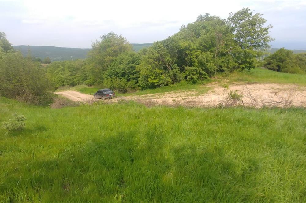 C21 BAL'dan SUSURLUK ASMALIDERE'DE RESMİ YOL MEVCUT 7500M2 BADEMLİK