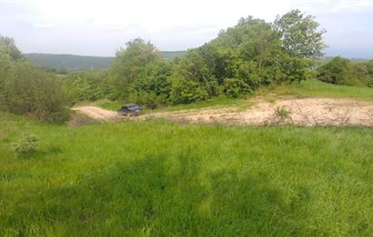 C21 BAL'dan SUSURLUK ASMALIDERE'DE RESMİ YOL MEVCUT 7500M2 BADEMLİK