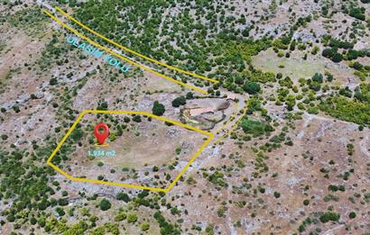 C21 WİNNER KEPSUT SAYACIK 1.934m² SATILIK BAHÇE