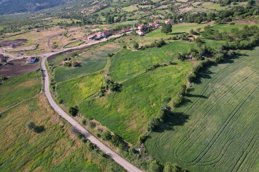 C21 WİNNER KEPSUT SAYACIK 344m² SATILIK ARSA