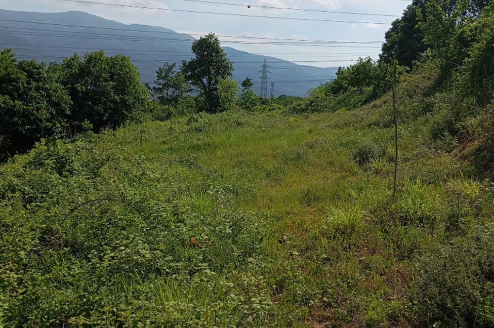 CENTURY21 PROJECT'TEN UZUNTARLA'DA SATILIK TARLA