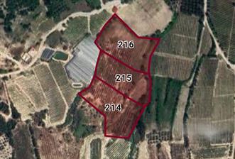TOROSLAR ÇELEBİLİ'DE YOLA 170 m CEPHELİ 13480 m2 SATILIK ARAZİ