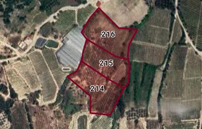 TOROSLAR ÇELEBİLİ'DE YOLA 170 m CEPHELİ 13480 m2 SATILIK ARAZİ