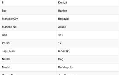 BAKLAN BOĞAZİÇİNDE SATILIK BAĞ