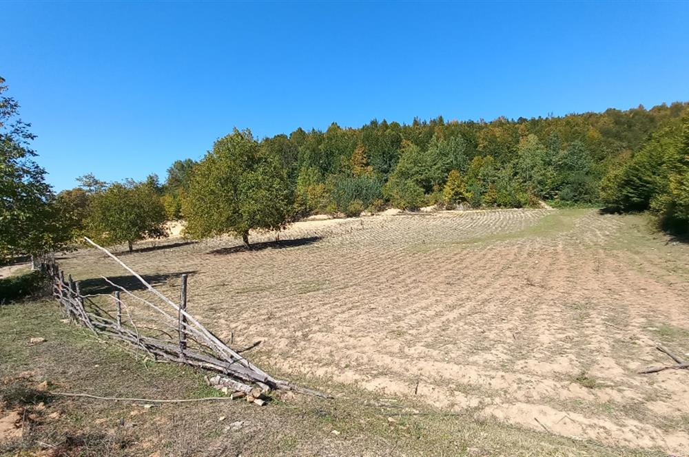 C21 Cius; İznik Kırıntı'da Doğa ile İç içe İmarlı Tek Parça Arsa