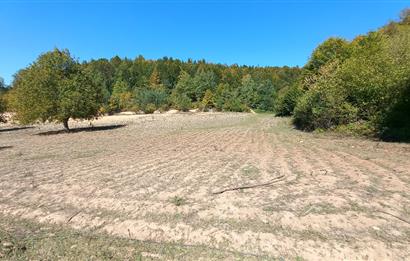 C21 Cius; İznik Kırıntı'da Doğa ile İç içe İmarlı Tek Parça Arsa