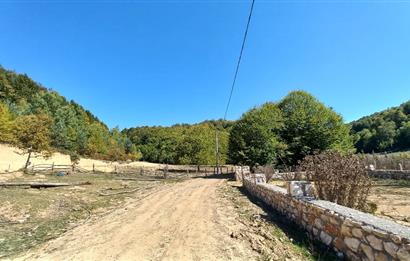C21 Cius; İznik Kırıntı'da Doğa ile İç içe İmarlı Tek Parça Arsa