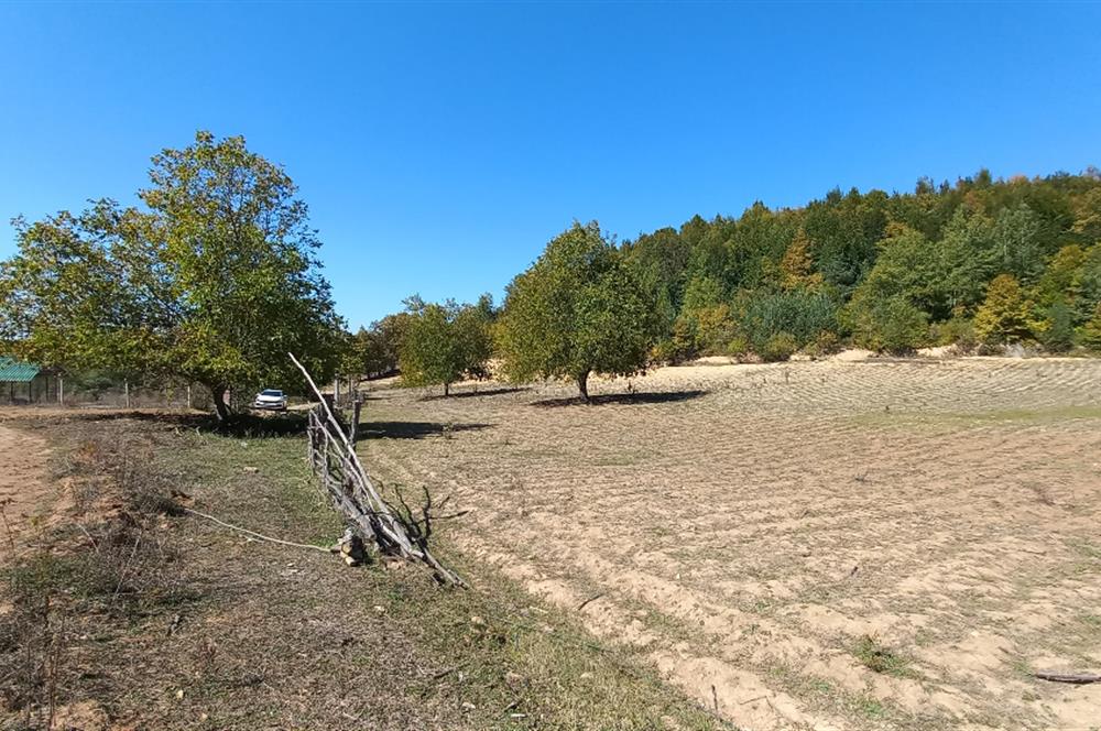 C21 Cius; İznik Kırıntı'da Doğa ile İç içe İmarlı Tek Parça Arsa