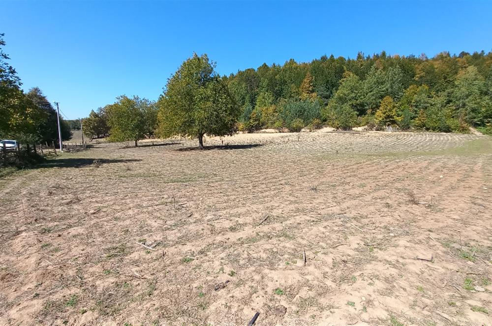 C21 Cius; İznik Kırıntı'da Doğa ile İç içe İmarlı Tek Parça Arsa