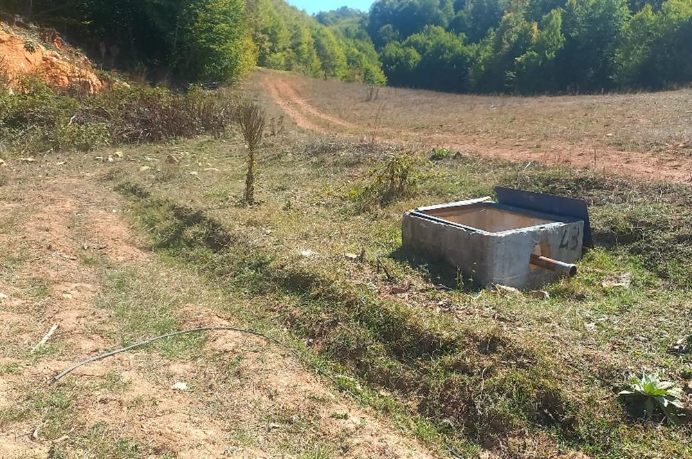 C21 Cius; İznik Kırıntı'da Doğa ile İç içe İmarlı Tek Parça Arsa