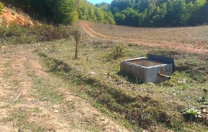 C21 Cius; İznik Kırıntı'da Doğa ile İç içe İmarlı Tek Parça Arsa
