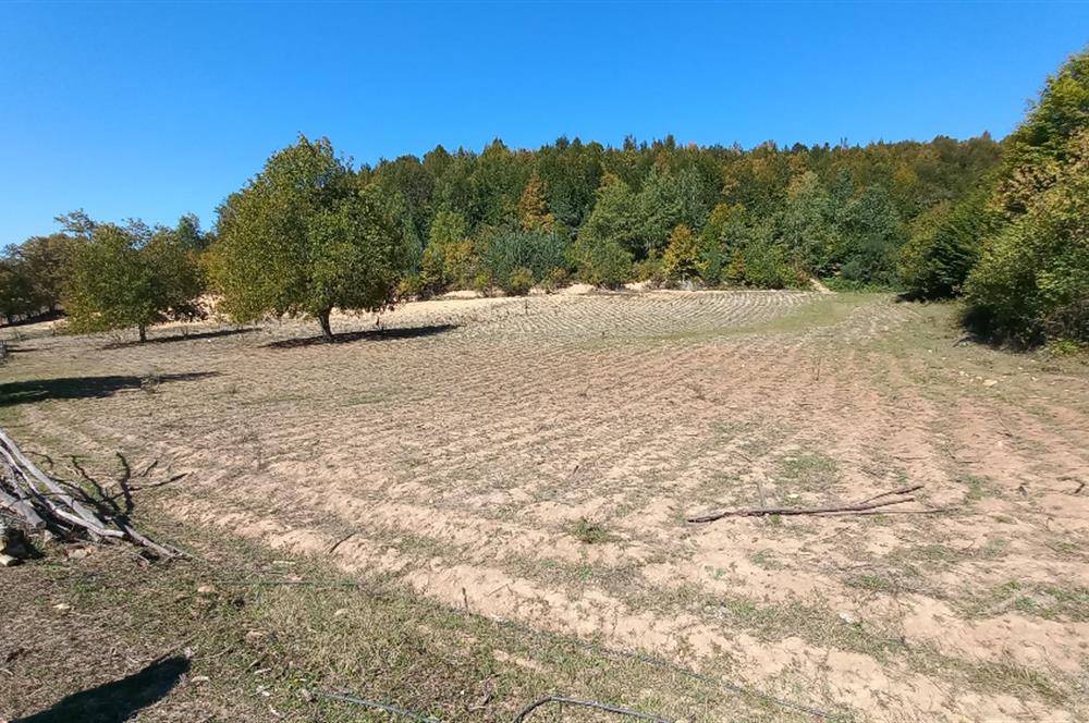 C21 Cius; İznik Kırıntı'da Doğa ile İç içe İmarlı Tek Parça Arsa