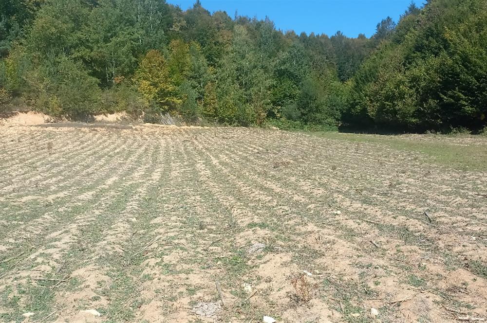C21 Cius; İznik Kırıntı'da Doğa ile İç içe İmarlı Tek Parça Arsa