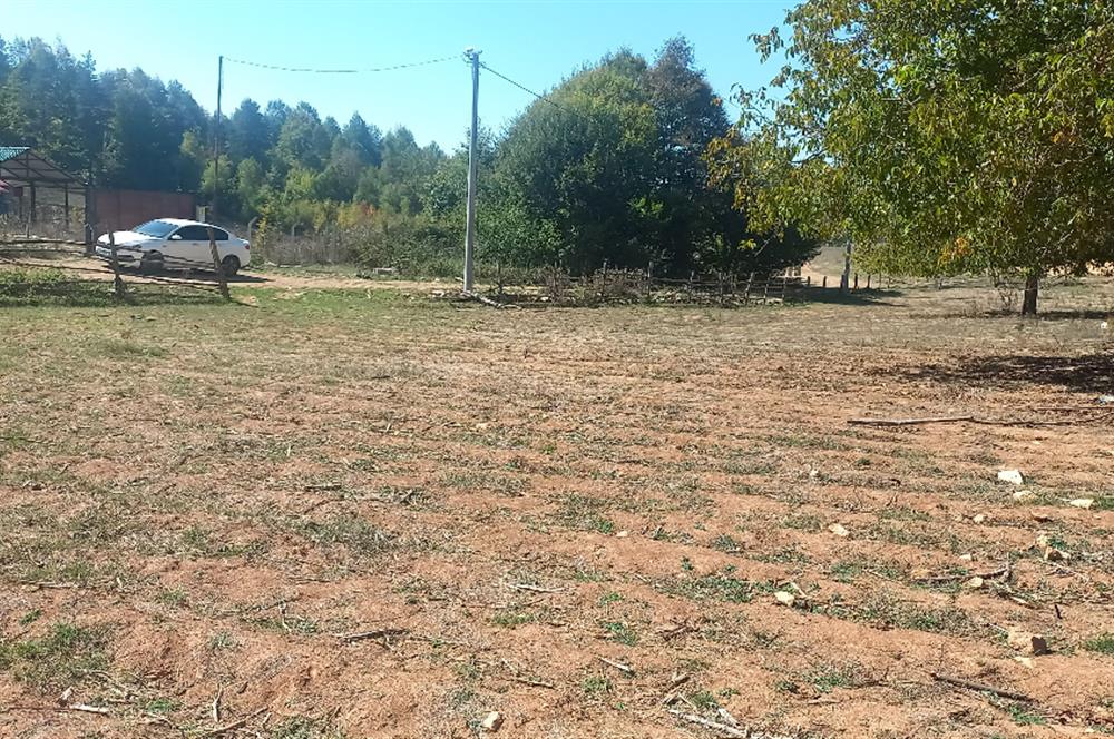 C21 Cius; İznik Kırıntı'da Doğa ile İç içe İmarlı Tek Parça Arsa