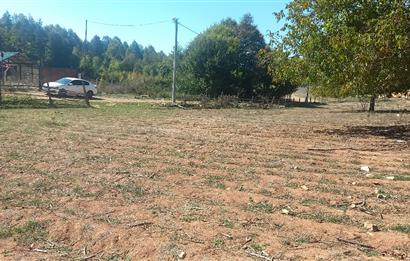 C21 Cius; İznik Kırıntı'da Doğa ile İç içe İmarlı Tek Parça Arsa