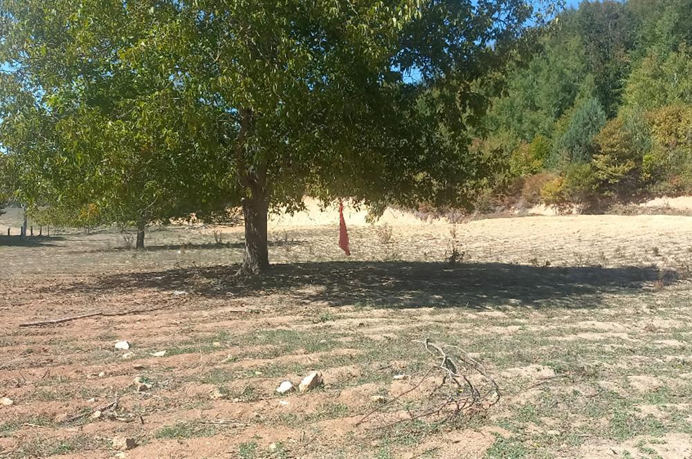 C21 Cius; İznik Kırıntı'da Doğa ile İç içe İmarlı Tek Parça Arsa