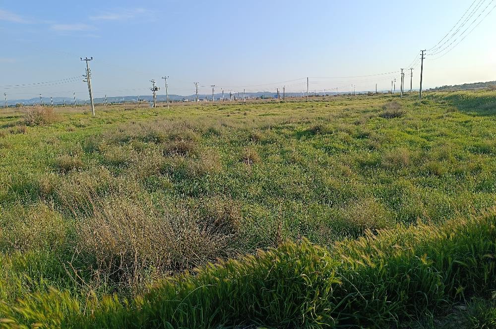 C21 LOCA'DAN VİLLA İMARLI 424 M2 ARSA