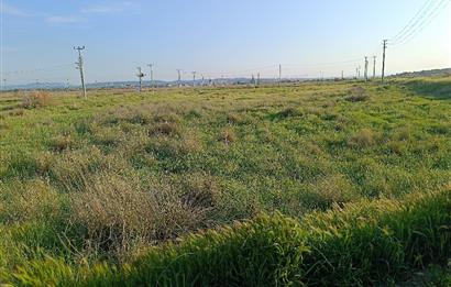 C21 LOCA'DAN VİLLA İMARLI 424 M2 ARSA