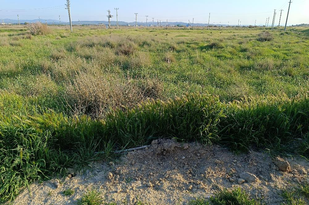 C21 LOCA'DAN VİLLA İMARLI 424 M2 ARSA