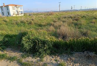 C21 LOCA'DAN VİLLA İMARLI 424 M2 ARSA