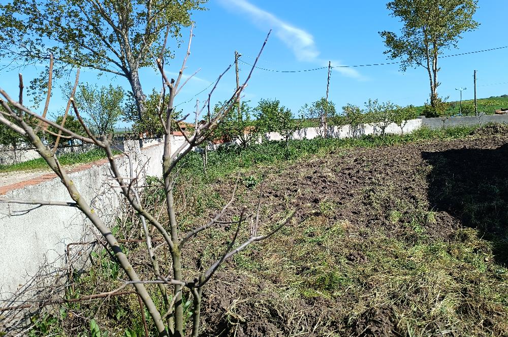C21 LOCA'DAN MÜSTAKİL YENİ KÖY EVİ