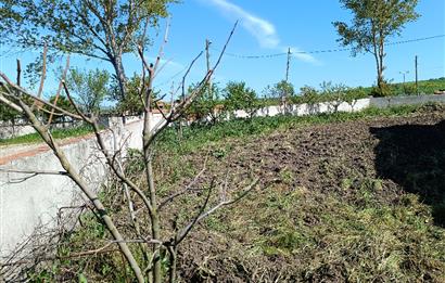 C21 LOCA'DAN MÜSTAKİL YENİ KÖY EVİ