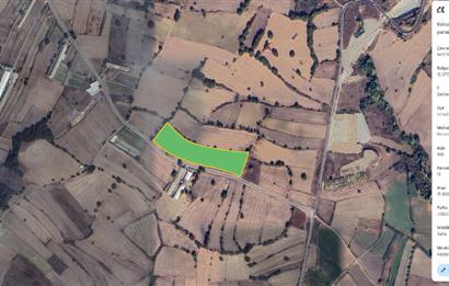1237225722 C21 LOCA'DAN ANA YOLA CEPHE 15800M2 TARLA 