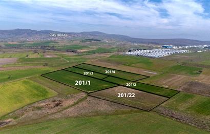 C21 LOCA'DAN YATIRIM BÖLGESİ %70 HİBE ALANINDA TARLA