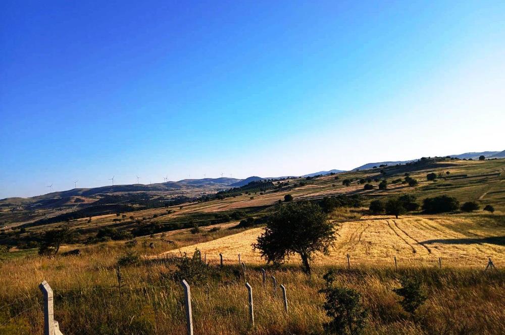 C21 LOCA'DAN BALIKESİR KARAKOL DA 1739M2 ACİL SATILIK TARLA