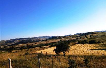 C21 LOCA'DAN BALIKESİR KARAKOL DA 1739M2 ACİL SATILIK TARLA