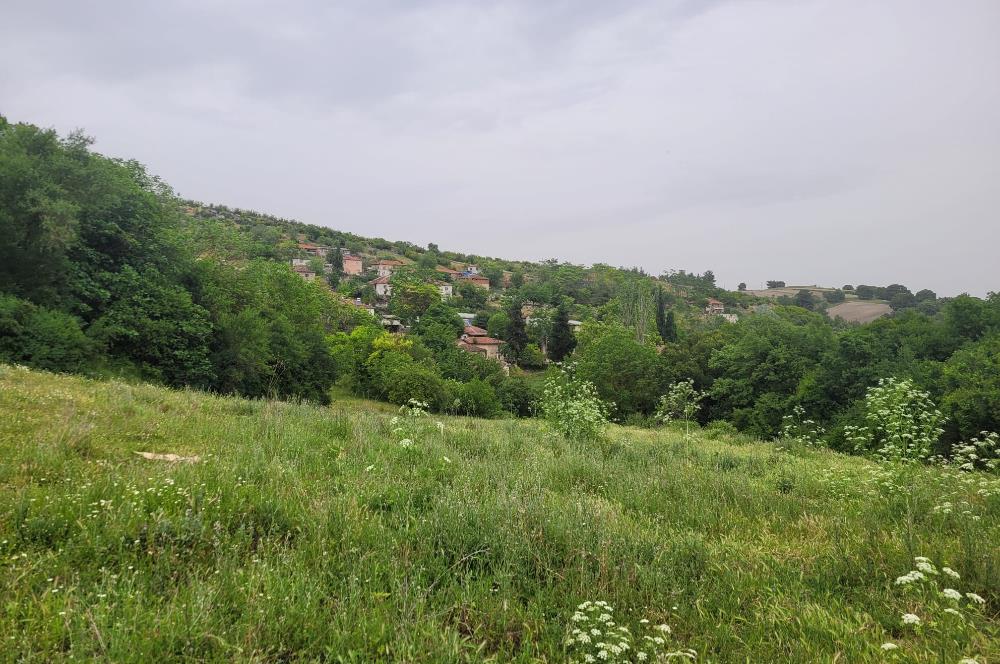 CENTURY21 BAL'DAN ALTIEYLÜL BEŞPINAR MAH.'DE SATILIK ARSA