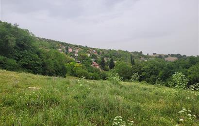 CENTURY21 BAL'DAN ALTIEYLÜL BEŞPINAR MAH.'DE SATILIK ARSA