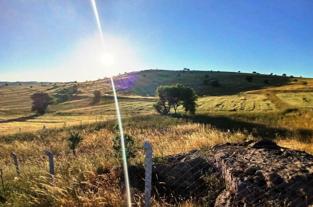 C21 LOCA'DAN BALIKESİR KARAKOL DA 1739M2 ACİL SATILIK TARLA