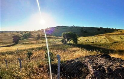 C21 LOCA'DAN BALIKESİR KARAKOL DA 1739M2 ACİL SATILIK TARLA