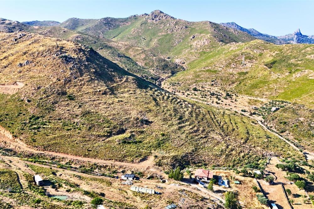 Bodrum Dereköy'de İmara Yakın Konumda Yatırıma Uygun Tarla
