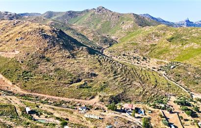 Bodrum Dereköy'de İmara Yakın Konumda Yatırıma Uygun Tarla