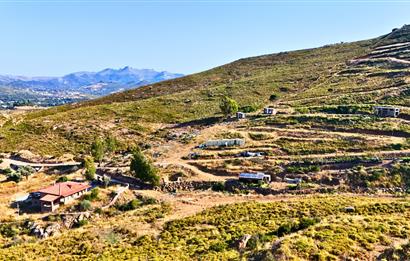Bodrum Dereköy'de İmara Yakın Konumda Yatırıma Uygun Tarla