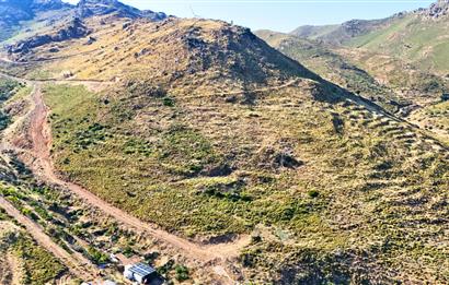 Bodrum Dereköy'de İmara Yakın Konumda Yatırıma Uygun Tarla