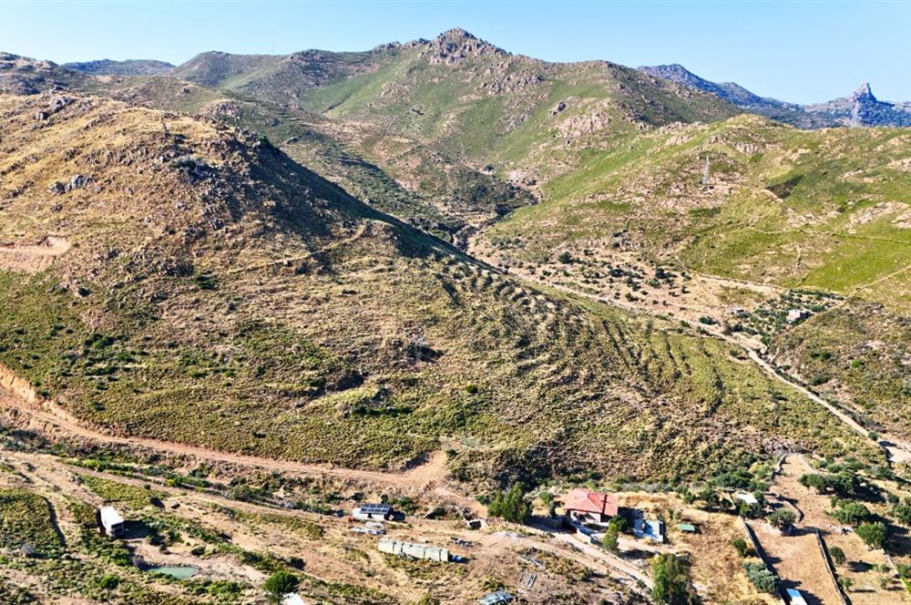 Bodrum Dereköy'de İmara Yakın Konumda Yatırıma Uygun Tarla