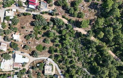 Bodrum Kızılağaç Mevkiinde 5.501 m2 lik Arsa