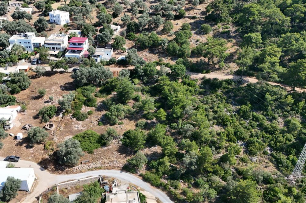 Bodrum Kızılağaç Mevkiinde 5.501 m2 lik Arsa