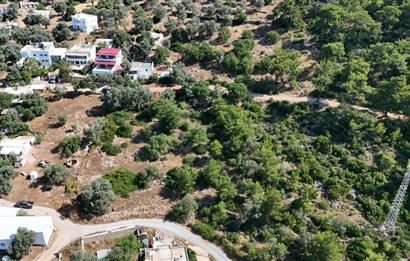 Bodrum Kızılağaç Mevkiinde 5.501 m2 lik Arsa