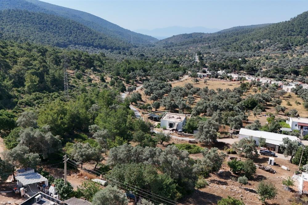 Bodrum Kızılağaç Mevkiinde 5.501 m2 lik Arsa