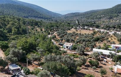 Bodrum Kızılağaç Mevkiinde 5.501 m2 lik Arsa