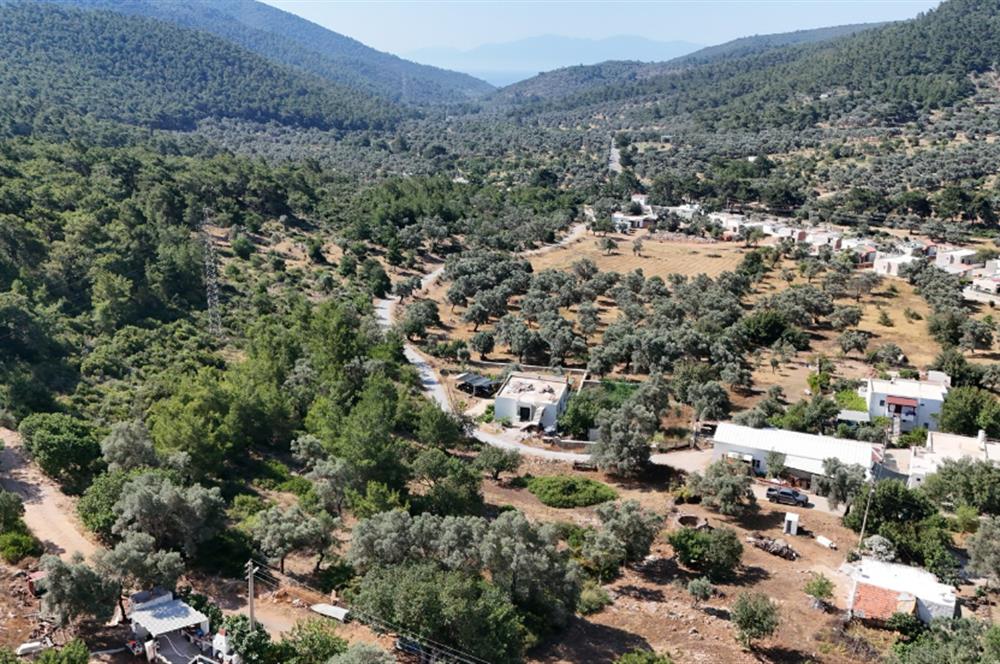 Bodrum Kızılağaç Mevkiinde 5.501 m2 lik Arsa