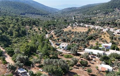 Bodrum Kızılağaç Mevkiinde 5.501 m2 lik Arsa